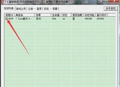 《天龙八步私服外挂脚本使用教程与安全注意事项》